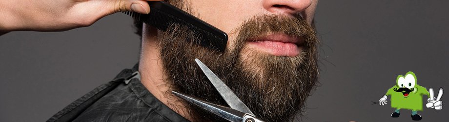 BARBA - 8 HORAS